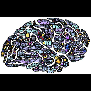 Að (s)kanna líkamann