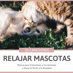 Relajar Mascotas