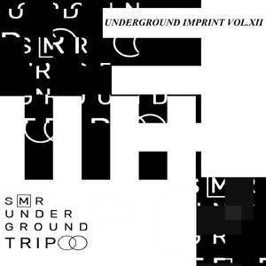 ****ing Acid Tracks (Alex ll Martinenko & Tilia Remix)