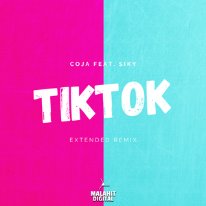 TikTok (Extended)