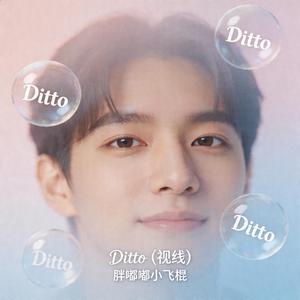 《Ditto (视线)》