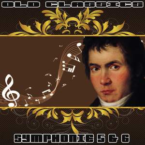 Symphony No. 6 in F Major, Pastorale, Op. 68: II. Andante Molto Mosso