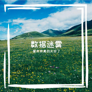 数据迷雾