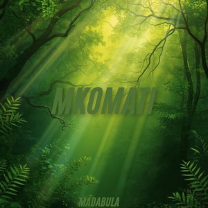Imifula