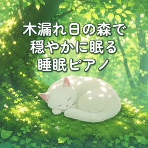 森と子猫の約束