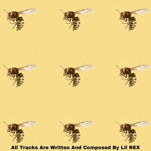 I MISS YOU I DON'T MISS YOU