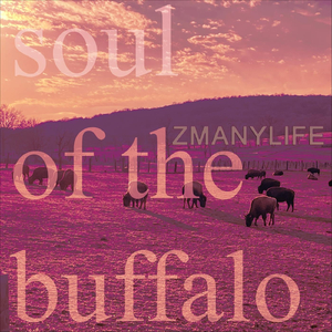Soul of the Buffalo