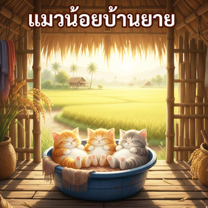 แมวน้อยบ้านยาย