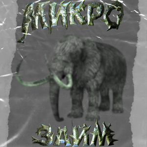 МИКРО ЗАЙМ