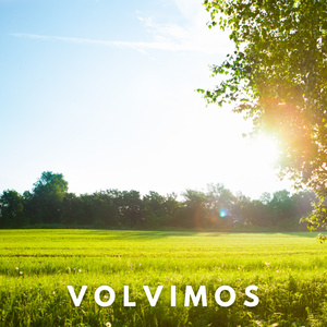 Volvimos