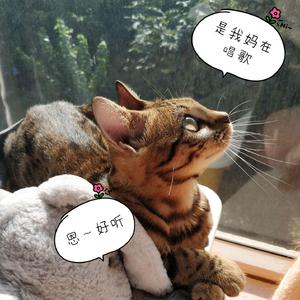 夜航星（翻自 不才）