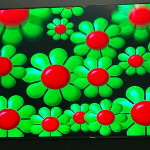 Jacob loves his momma