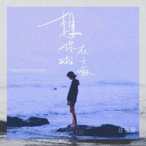 想你啦在干嘛（DJ版）