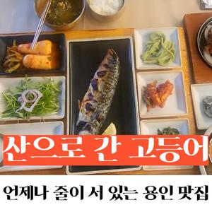 산으로 간 고등어, 언제나 줄이 서 있는 용인 맛집