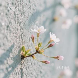 慢慢来吧