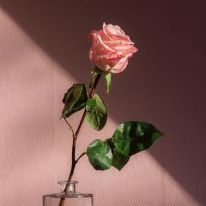 lveo（prod by Eric Godlow）