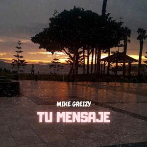 Tu mensaje