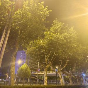 这一生关于你的风景