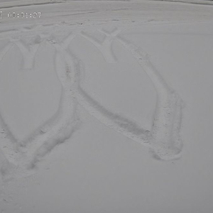 你的世界人满为患我连过路都算不上