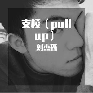 支棱(pull up) 伴奏