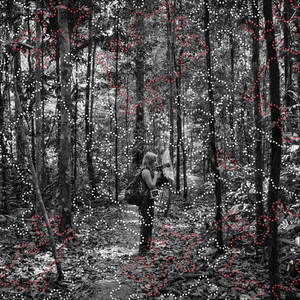 Dawn at the Tambopata River