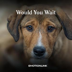 Would You Wait