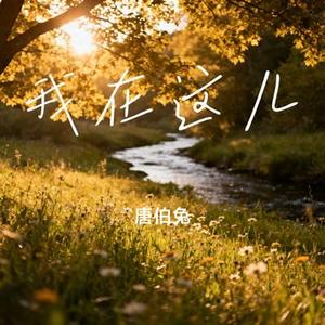 我在这儿