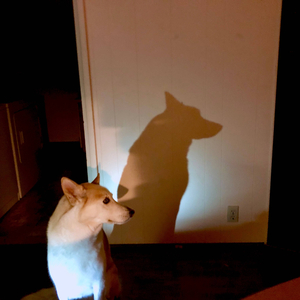 Glowinthedark (demo)