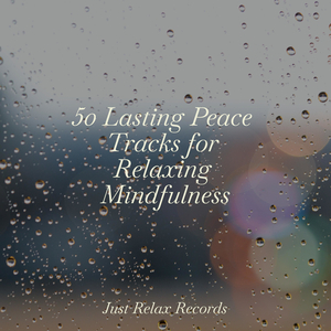 Aerial Symphony Soars