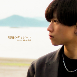 琥珀のディジット