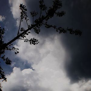 Oboe in C Minor(Elegy)