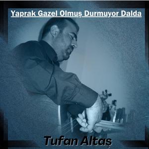 Yaprak Gazel Olmuş Durmuyor Dalda