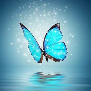 一起走过的日子（Cover 刘德华）