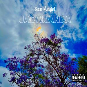 Jacaranda