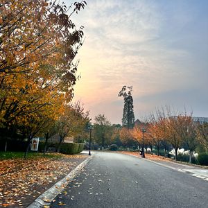 一句先苦后甜 片段【抖音热播】