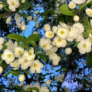 你说浪漫是下雪的夜