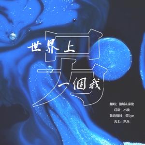世界上的另一个我(中韩对唱)