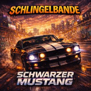 Schwarzer Mustang