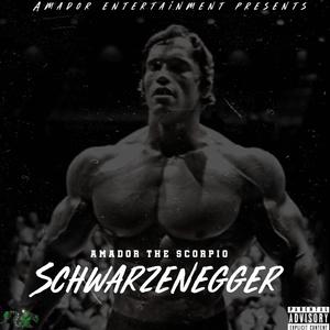 Schwarzenegger