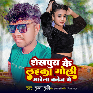 Sheikhpura Ke Laika Goli Mare La Karej Me