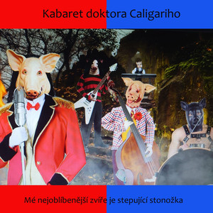 Mé nejoblíbenější zvíře je stepující stonožka