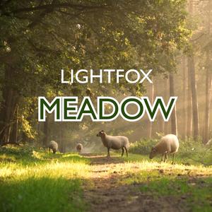 Meadow