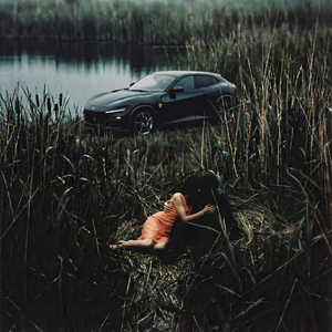 Шумел камыш