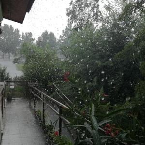 听雨声睡觉/白噪音/纯下雨声/帮助睡觉/干净雨声/五分钟入睡