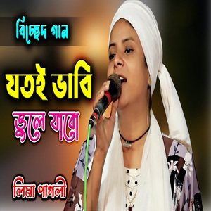 যতই ভাবি ভুলে যাবো