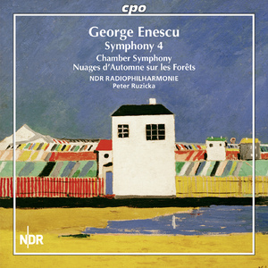 Chamber Symphony in E Major, Op. 33:I. Molto moderato, un poco maestoso