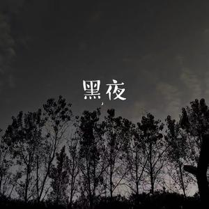 黑夜（幼稚园杀手)