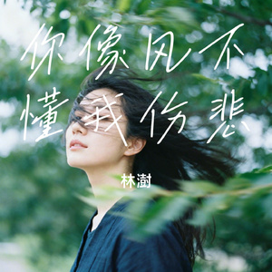 你像风不懂我伤悲