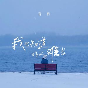 我也知道好人难当