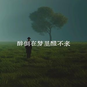 醉倒在梦里醒不来